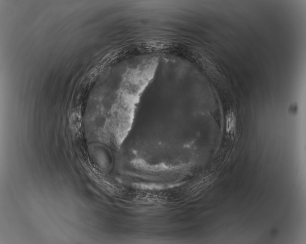 X0000115721011200912031546