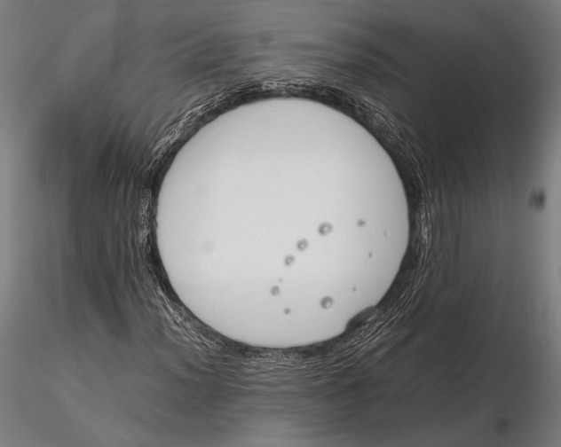 X0000115721012200912031546