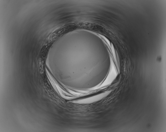 X0000115721013200912031546
