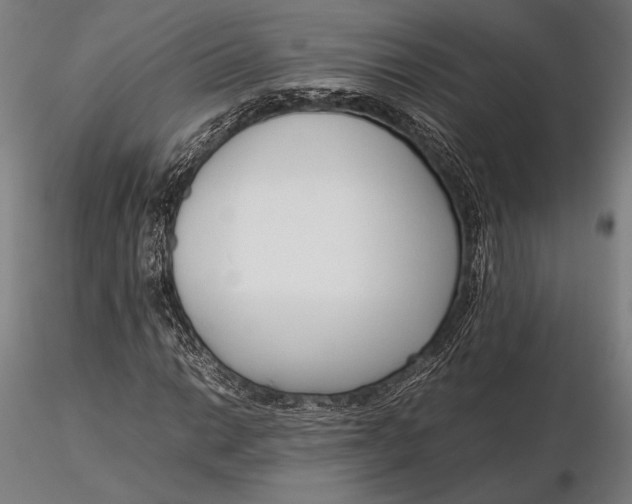 X0000115721014200912031546