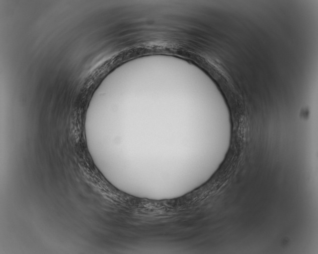 X0000115721015200912031546