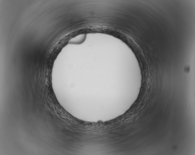 X0000115721016200912031546