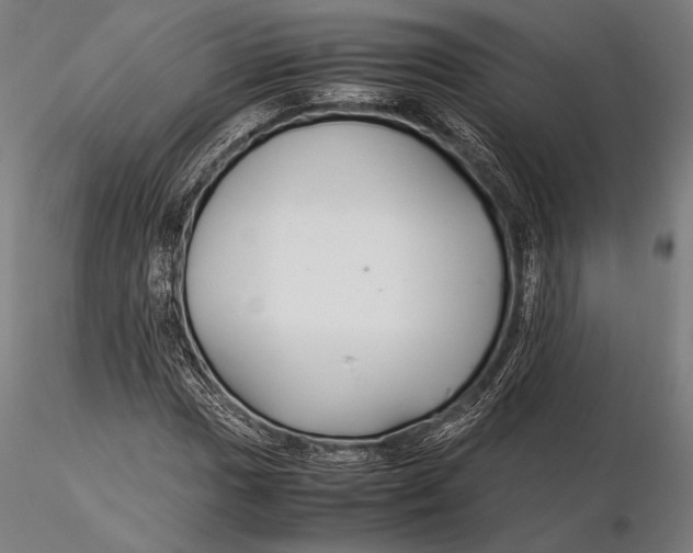 X0000115721017200912031546