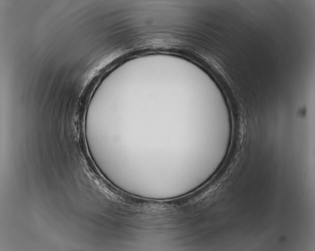 X0000115721018200912031546