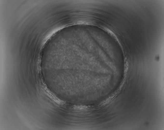 X0000115721019200912031546