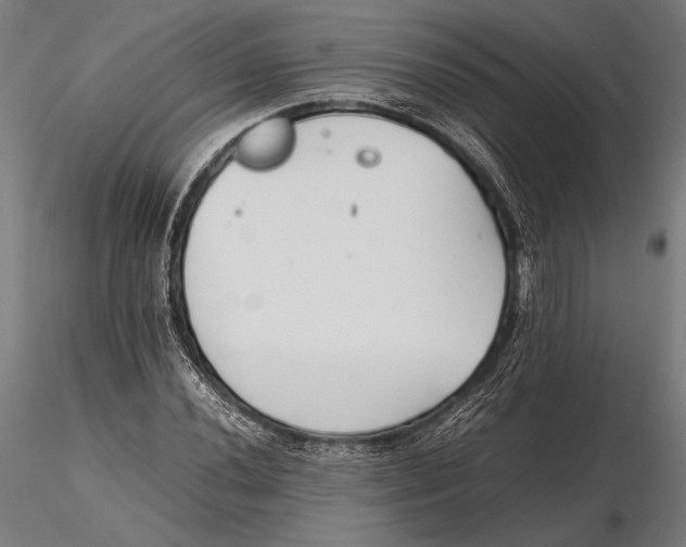 X0000115721020200912031546