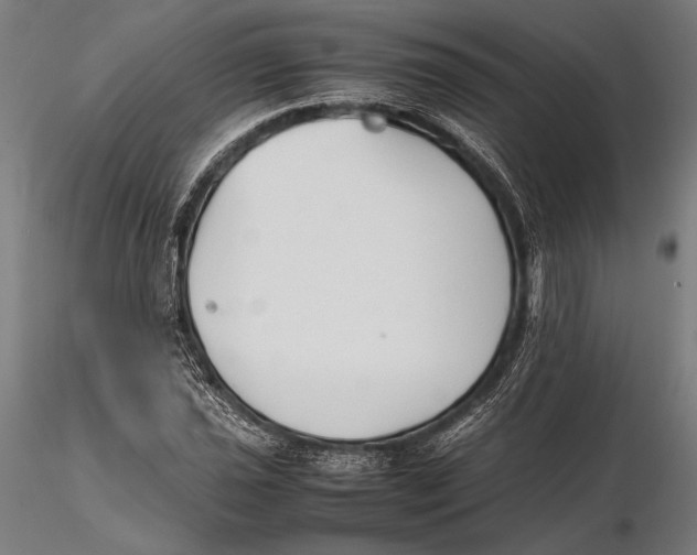 X0000115721021200912031546