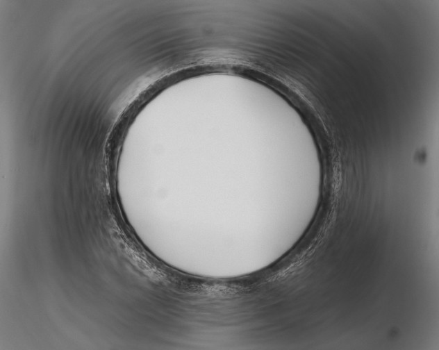 X0000115721022200912031546