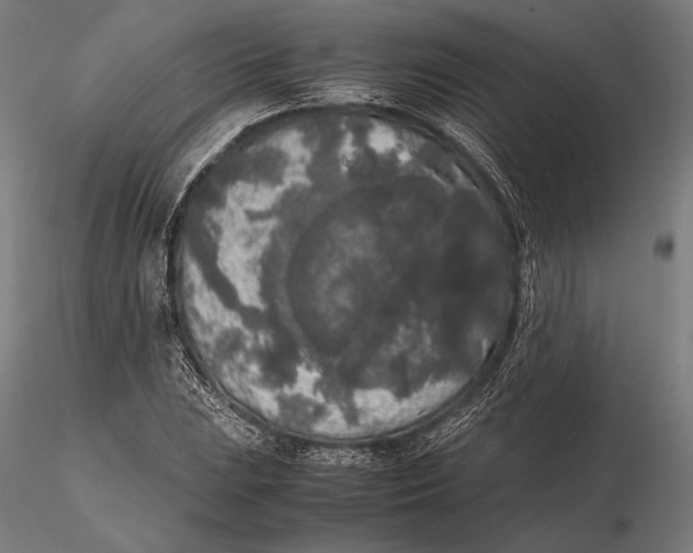 X0000115721023200912031546