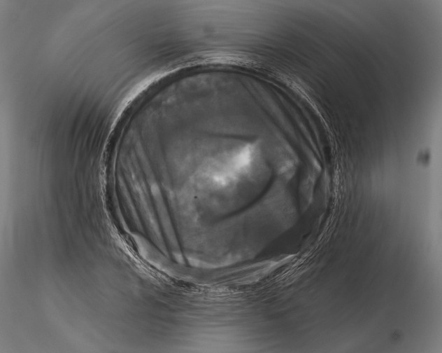 X0000115721024200912031546