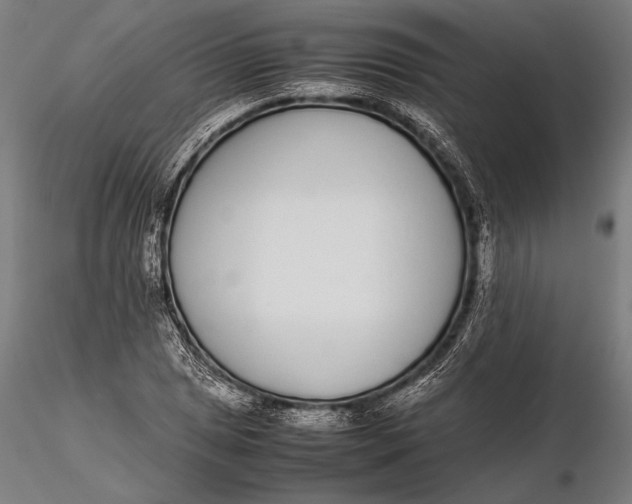 X0000115721025200912031546