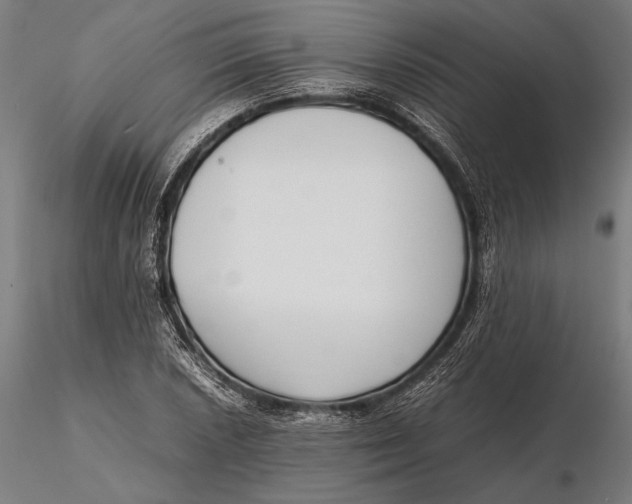 X0000115721026200912031546