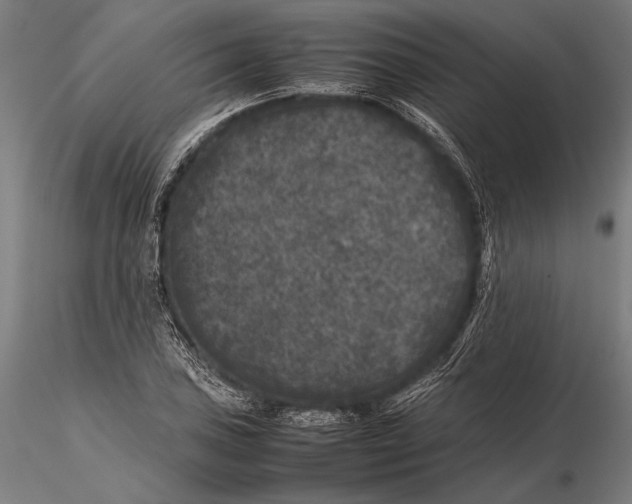 X0000115721027200912031546