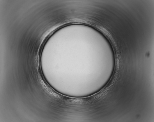 X0000115721028200912031546