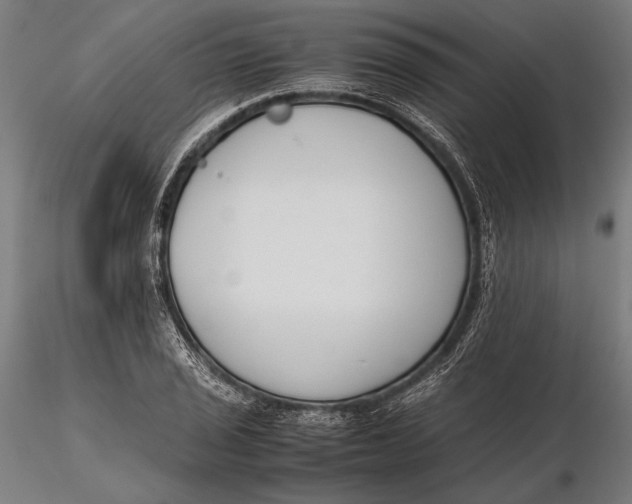 X0000115721029200912031546
