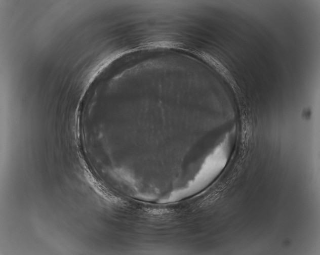 X0000115721031200912031546