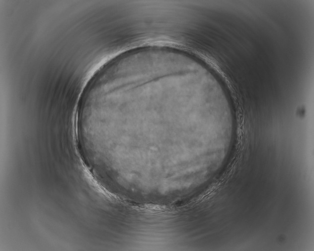 X0000115721032200912031546