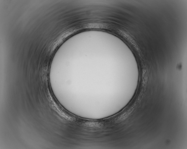 X0000115721033200912031546
