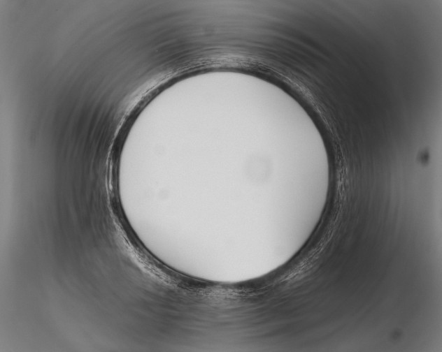 X0000115721034200912031546