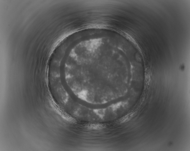 X0000115721035200912031546