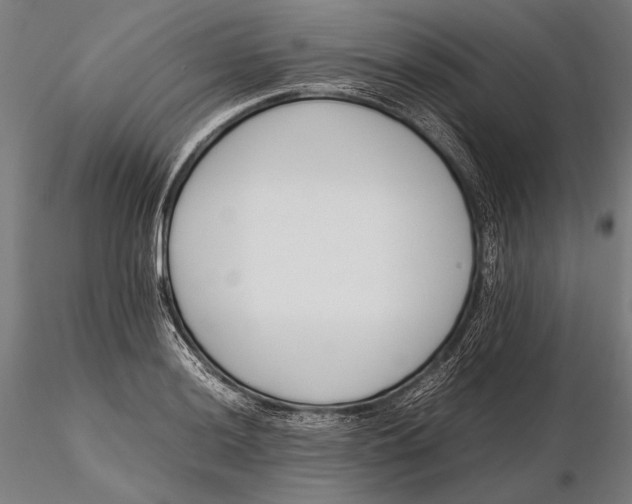 X0000115721036200912031546