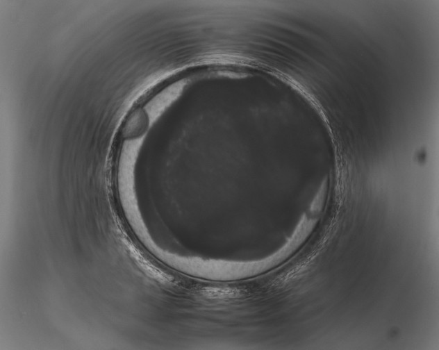 X0000115721037200912031546