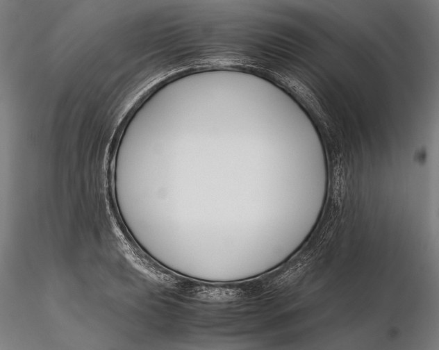X0000115721039200912031546