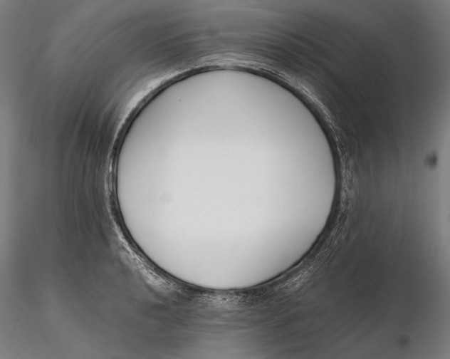 X0000115721040200912031546