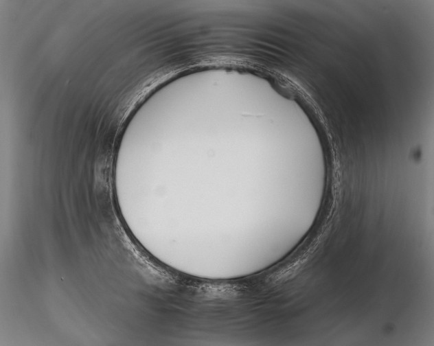 X0000115721041200912031546
