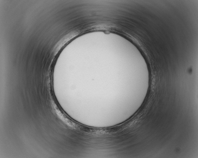 X0000115721042200912031546