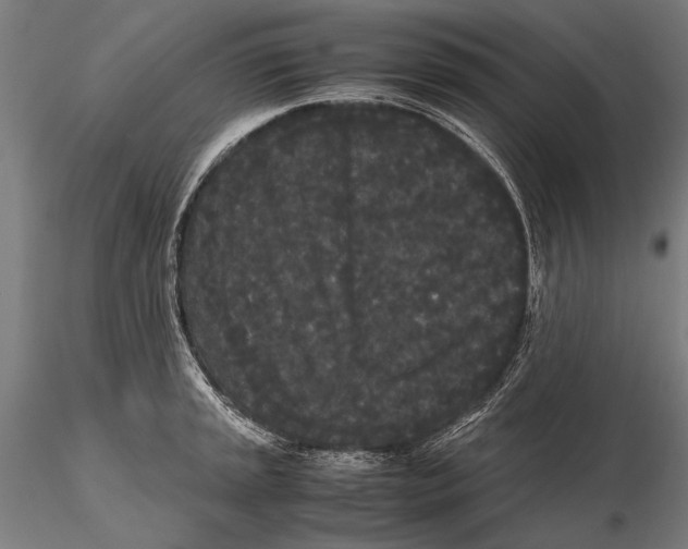 X0000115721045200912031546