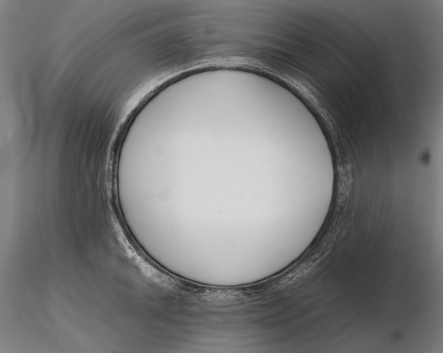 X0000115721046200912031546