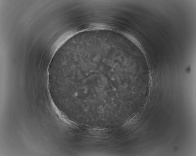 X0000115721047200912031546