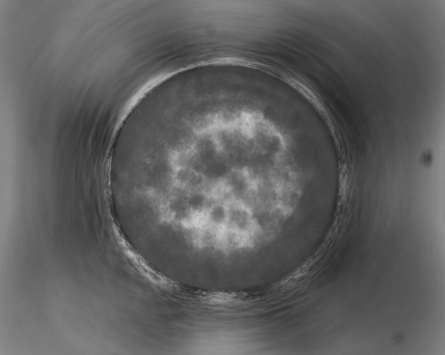X0000115721048200912031546