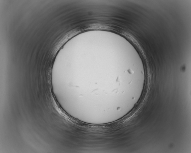 X0000115721049200912031546