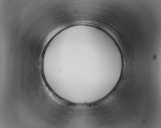 X0000115721050200912031546