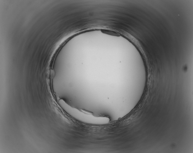 X0000115721051200912031546