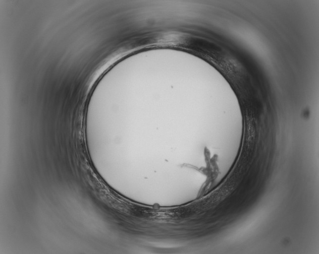 X0000115721052200912031546