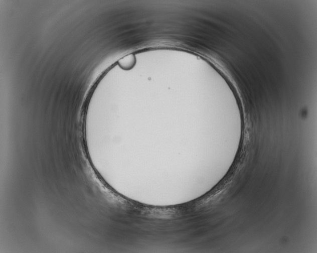 X0000115721053200912031546