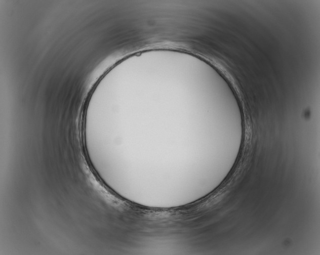 X0000115721054200912031546