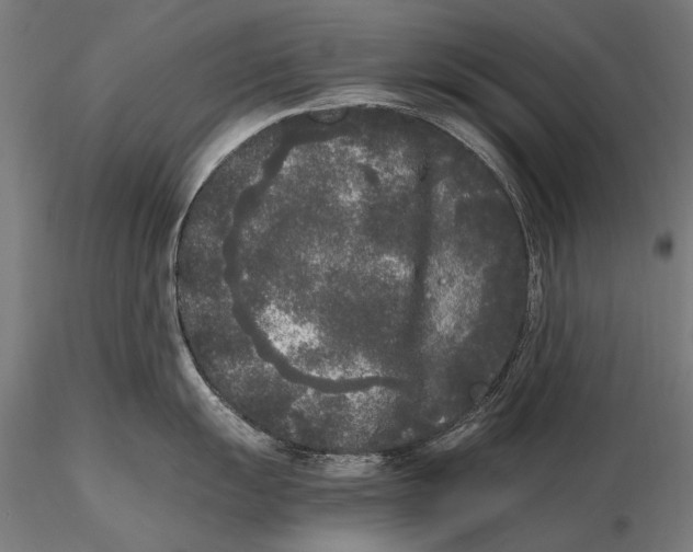 X0000115721055200912031546