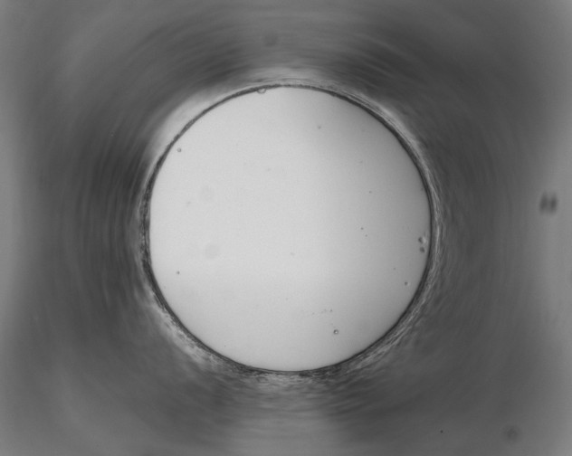 X0000115721056200912031546
