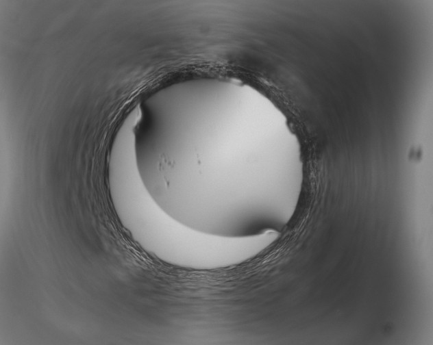X0000115721057200912031546
