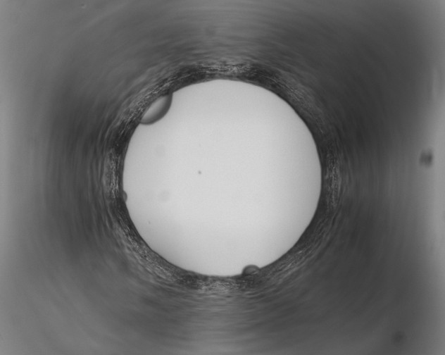 X0000115721058200912031546