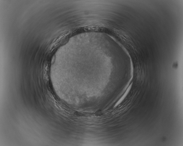 X0000115721060200912031545