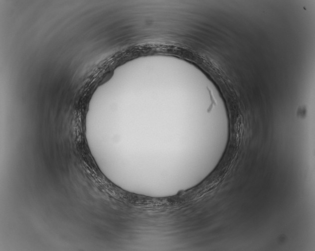 X0000115721062200912031545