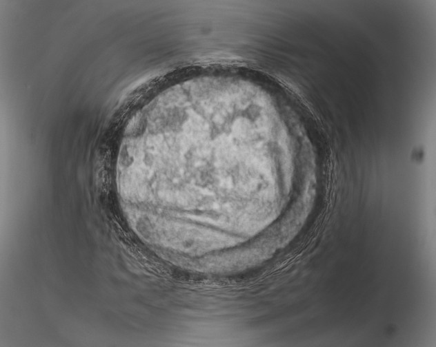 X0000115721063200912031545