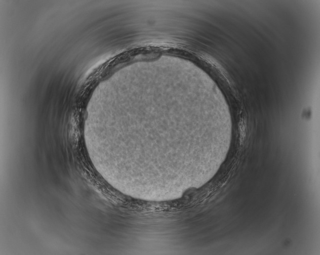 X0000115721064200912031545