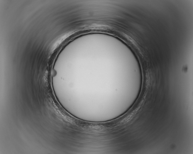 X0000115721066200912031545