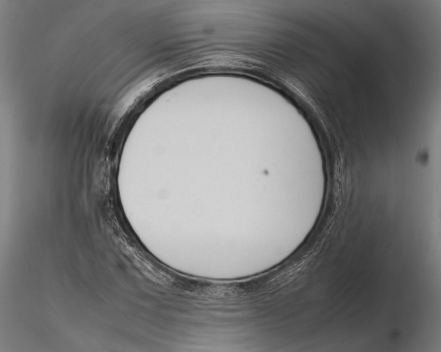 X0000115721067200912031545